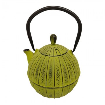 Xi'an cast iron teapot