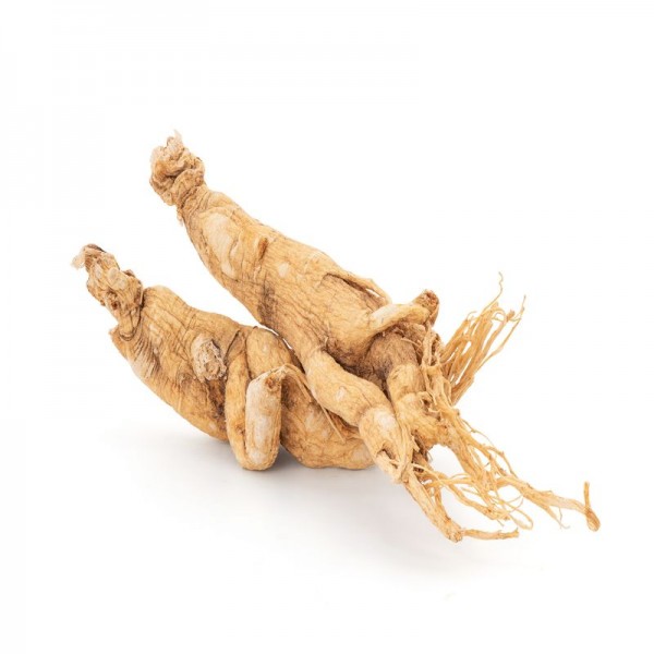 Ginseng root powder | Online Shop