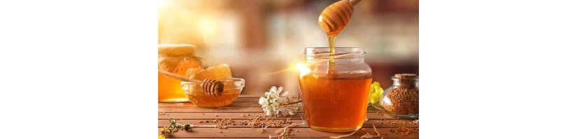 Pure Artisanal Honey | Made in Italy | Buy online