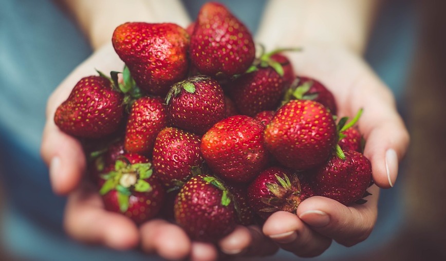 strawberries-plant-and-fruit.jpg