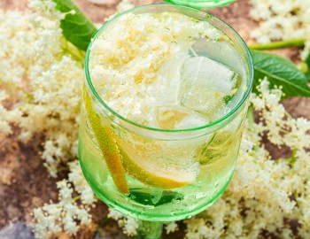 Bevande fresche ai fiori di sambuco da preparare in estate