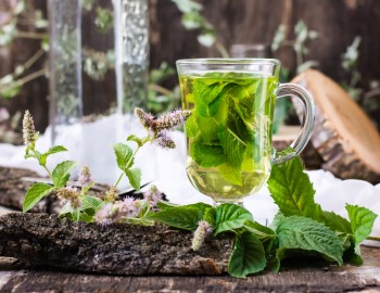 Sharbat-e-Sekanjebin : prepariamo la bevanda tradizionale con aceto e menta