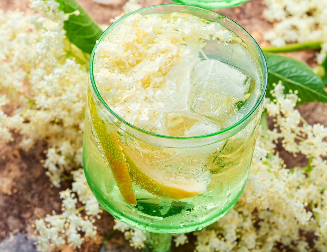 Bevande fresche ai fiori di sambuco da preparare in estate