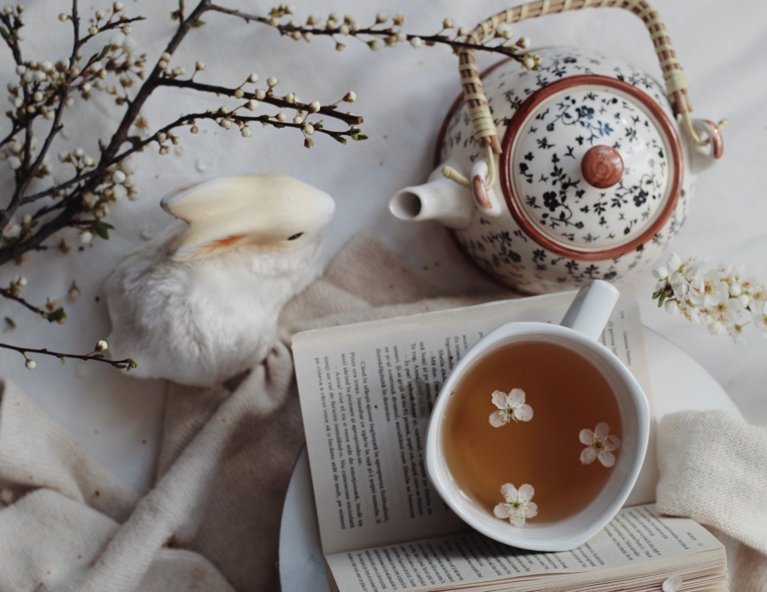 Le tisane ideali per la primavera: